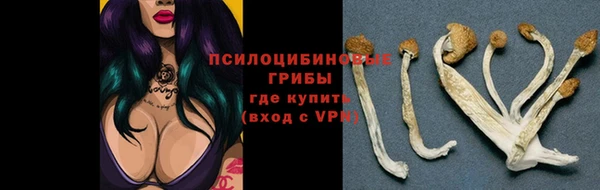 гашик Горнозаводск