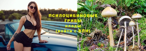 гашик Горнозаводск